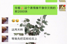 澄迈专业讨债公司有哪些核心服务？